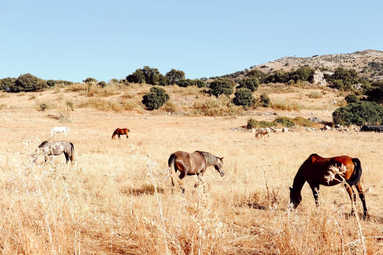 Los Pilares De Ronda Boutique & Hotel Luaran gambar